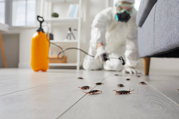 Commercial Kitchen Cockroach Control in Spooner
